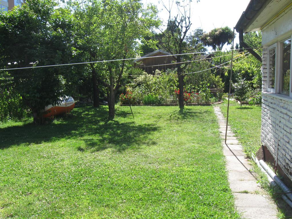 Hostal Entre Araucarias Temuco Bagian luar foto